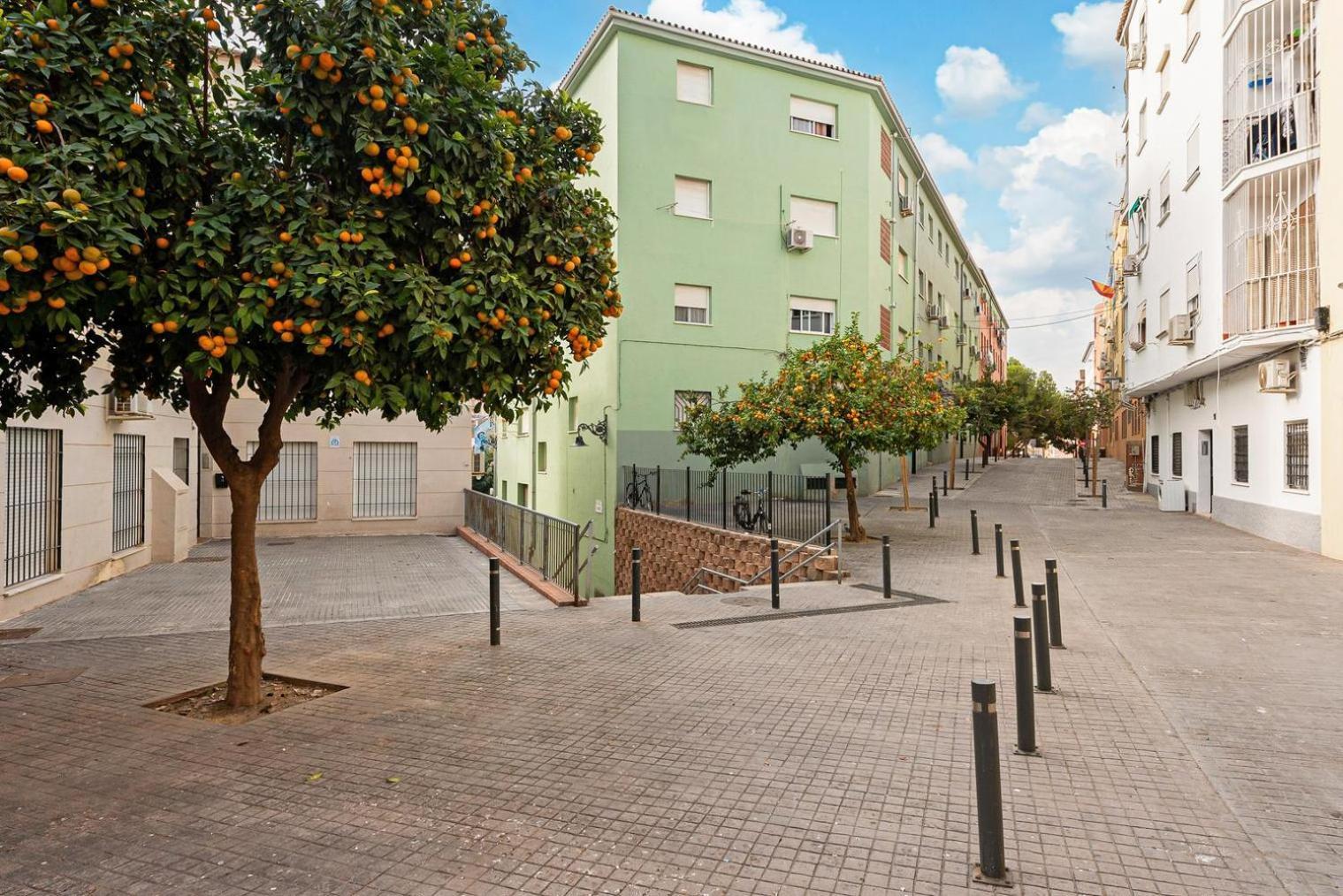 1 Bedroom Flat In Center